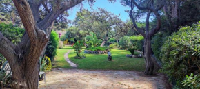 Hotels in Notteri